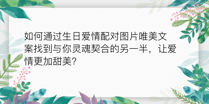 生日配对软件游戏截图