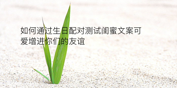 生肖年月配对游戏截图