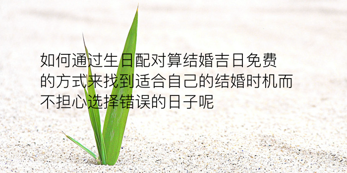 车牌测号码吉凶游戏截图