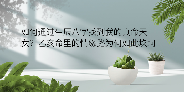 称骨算命免费游戏截图