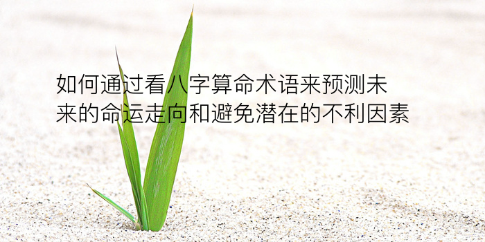 八字算命游戏截图