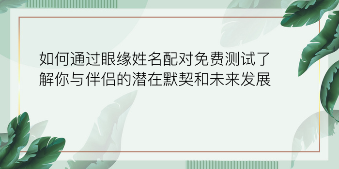 小冰岛如何配对手机号游戏截图