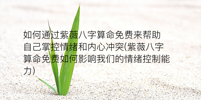 个人姓名测试游戏截图