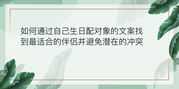 属鸡人婚配属相最好游戏截图