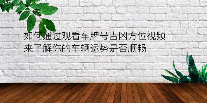 如何通过观看车牌号吉凶方位视频来了解你的车辆运势是否顺畅