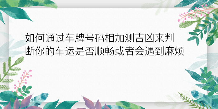 二零二算运网