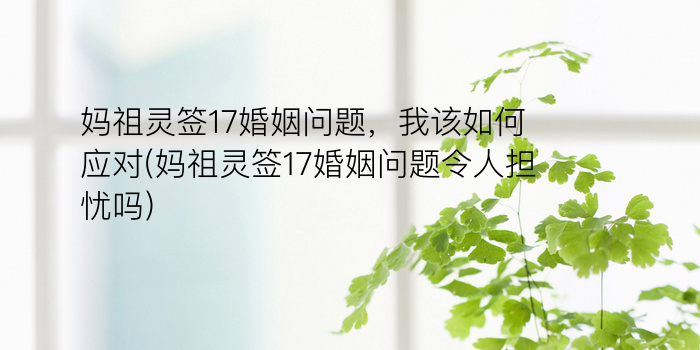 黄大仙第7签游戏截图