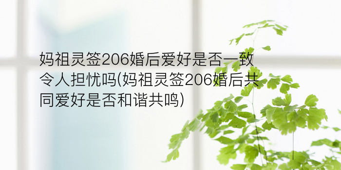 黄大仙灵签41游戏截图