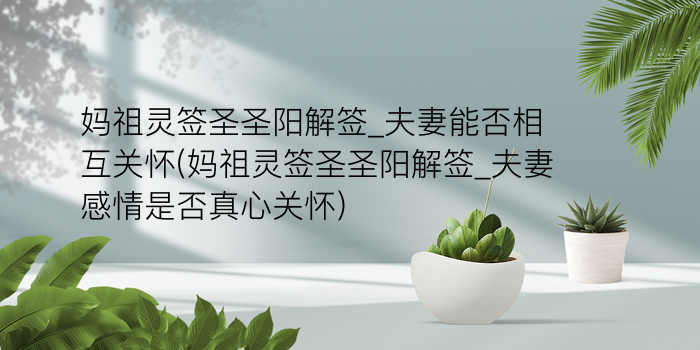 妈祖灵签葵末游戏截图