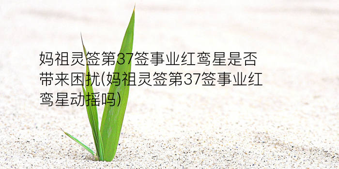 佛祖灵签40签游戏截图