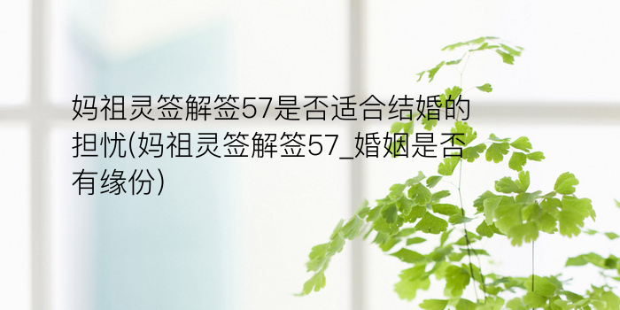 月老灵签23游戏截图