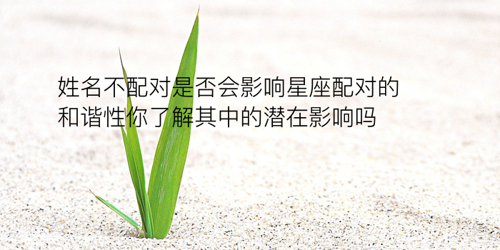 生肖配对歌诀游戏截图