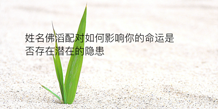 周易车牌号码测吉凶游戏截图