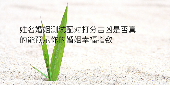 姓名测试配对打分游戏截图