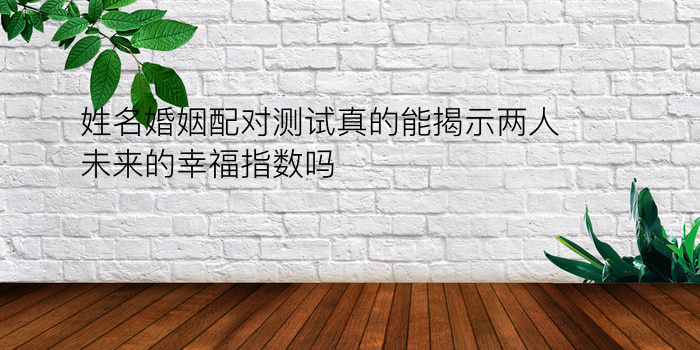 姓名婚姻配对测试真的能揭示两人未来的幸福指数吗