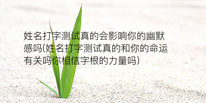 公司起名测字游戏截图