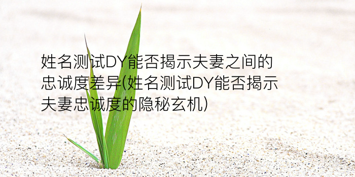 SY777命理网