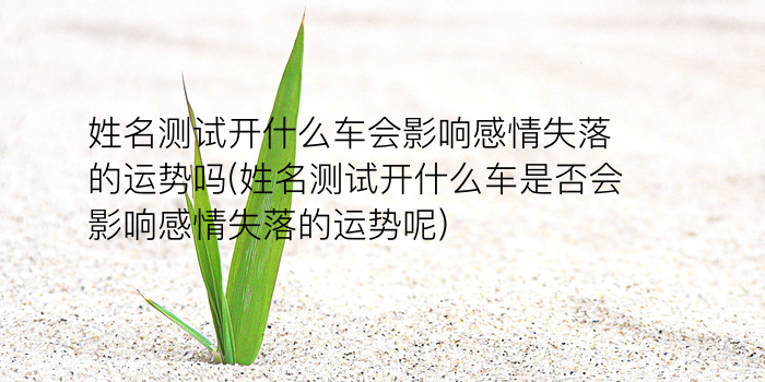 滴天髓八字算命免费游戏截图