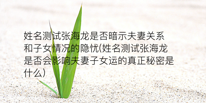 测字原理游戏截图