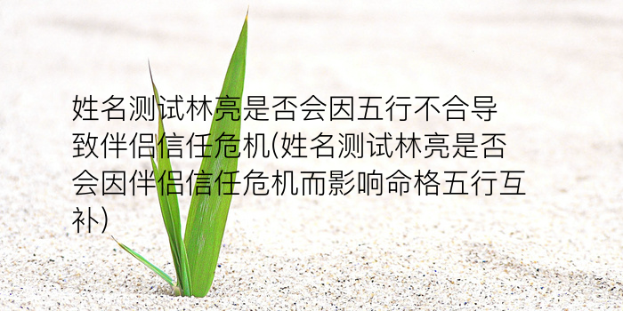 诸葛测字313解签游戏截图