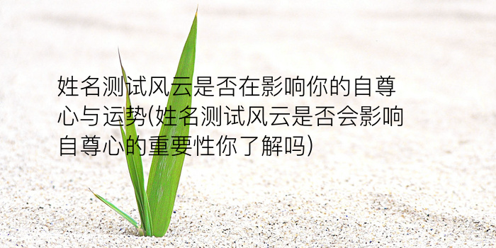 诸葛测字巨鳖游戏截图