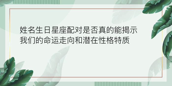 最准确的姓名配对游戏截图