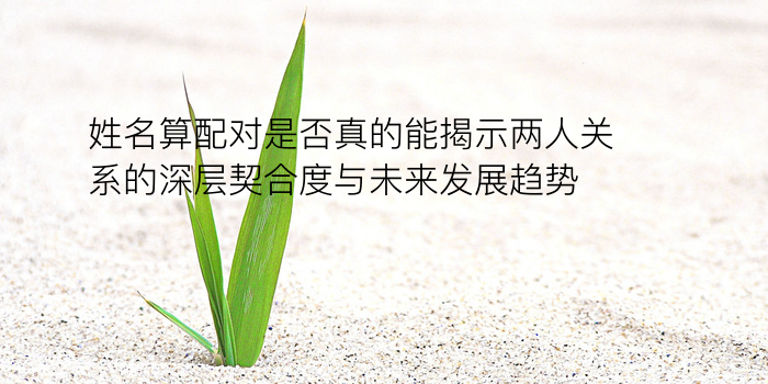 生日配对测试缘分测试游戏截图