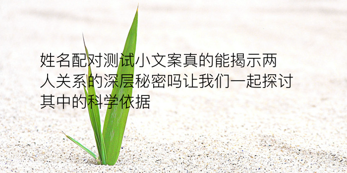 测号码吉凶车牌号码游戏截图