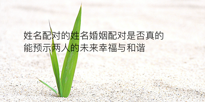 生肖鼠配对游戏截图