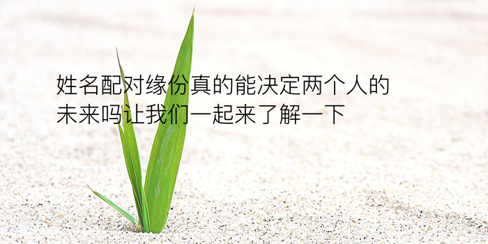 天下号令车牌号测吉凶游戏截图