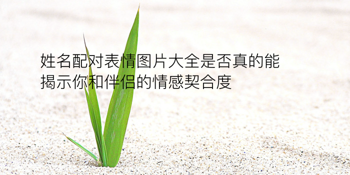 生日配对测试智商游戏截图