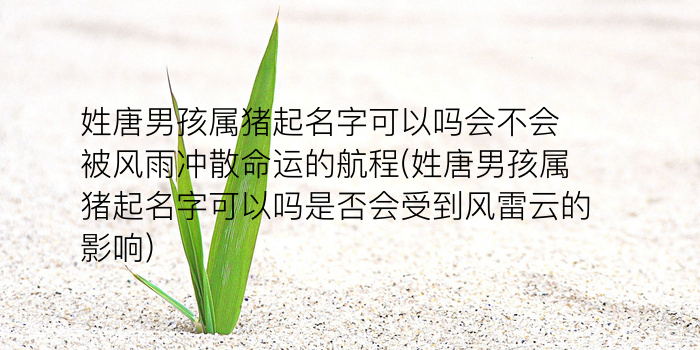 周易取名赵屿琛打分游戏截图