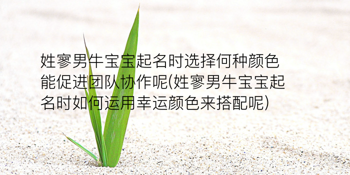 蛇宝宝起名游戏截图