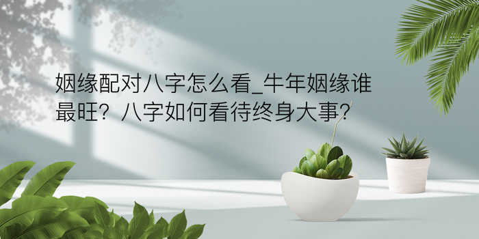 姻缘配对八字怎么看_牛年姻缘谁最旺？八字如何看待终身大事？