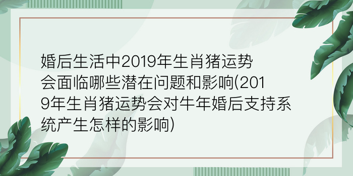 婚后生活中2019年生肖猪运势会面临哪些潜在问题和影响(2019年生肖猪运势会对牛年婚后支持系统产生怎样的影响)