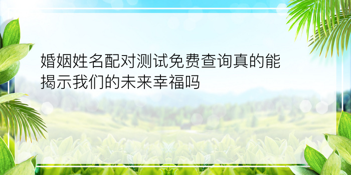 婚姻姓名配对测试免费查询真的能揭示我们的未来幸福吗