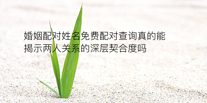 长沙街头配对手机号游戏截图