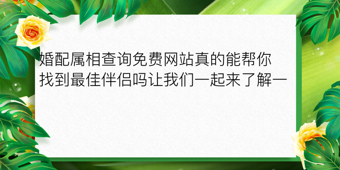 属相排列婚配表大全游戏截图