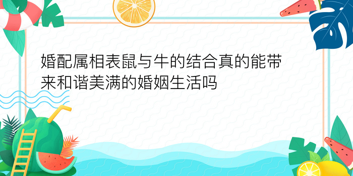 婚配属相表鼠与牛的结合真的能带来和谐美满的婚姻生活吗