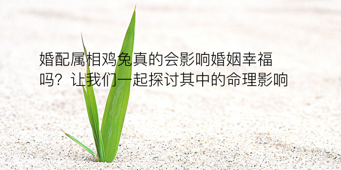 车牌照测吉凶游戏截图