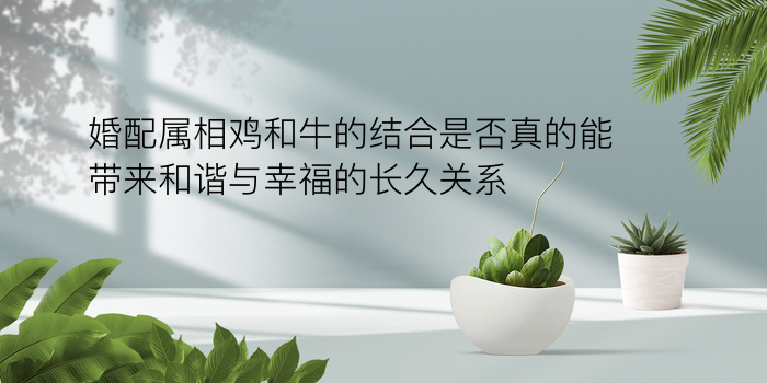 姓名配对算命先生游戏截图