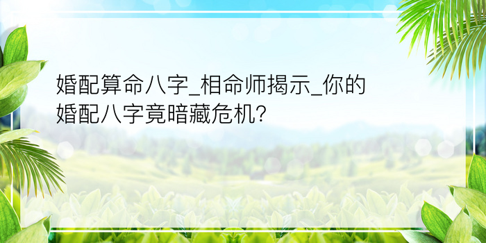 安康起名网八字算命游戏截图