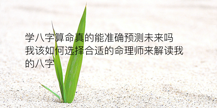 根据生辰八字起名字免费游戏截图