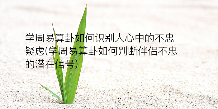 诸葛亮测字算命书游戏截图