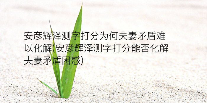 梅花易数测字游戏截图