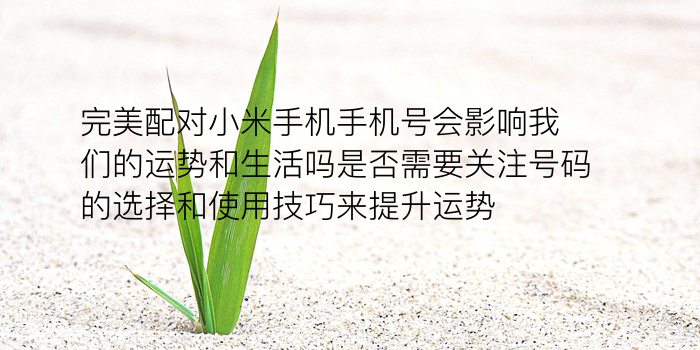 姓名测配对游戏截图