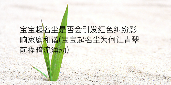 天字起名男孩名字游戏截图