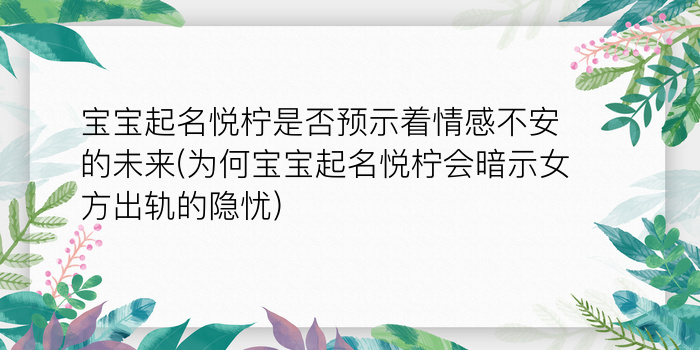 二零二算运网