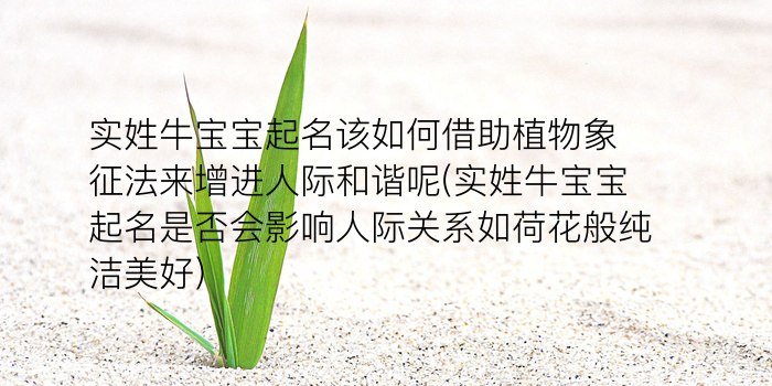 传媒公司起名字游戏截图