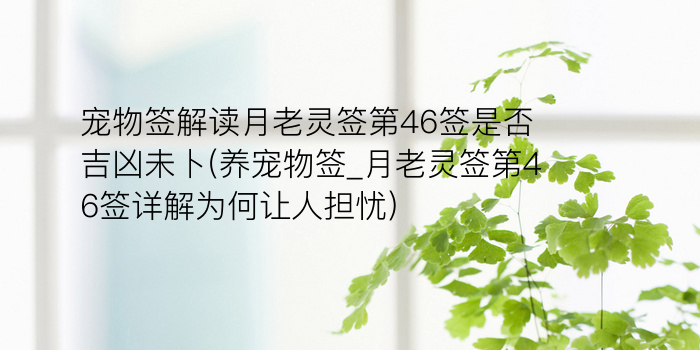 因荷而得藕月老灵签游戏截图